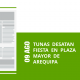 10-09-ago-tunas-desatan-fiesta-en-plaza-mayor-de-arequipa-png